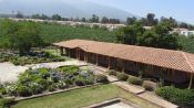 WINE ROUTE - MAIPO VALLEY IN CHILE, , 