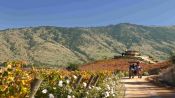 CURICO VALLEYS - ROUTE OF WINE, , 