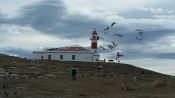 PUNTA ARENAS AND PINGUINS, , 