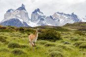 TORRES DEL PAINE AND GLACIERS FLUVIAL, , 