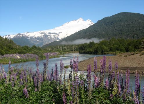 CERRO TRONADOR AND GLACIERS. , ARGENTINA