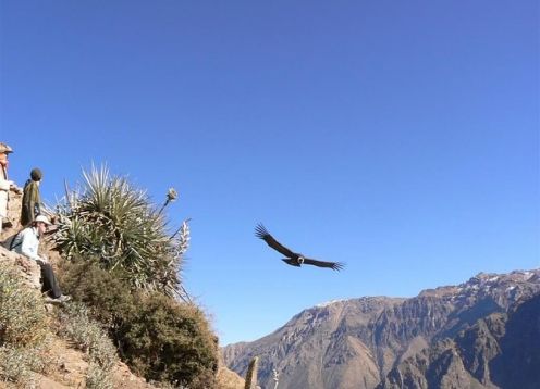 Colca Canyon  and Puno from Arequipa. Arequipa, PERU
