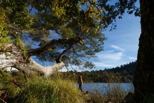 TOUR PUYEHUE PARK  AND HOT SPRING, PUERTO VARAS, 