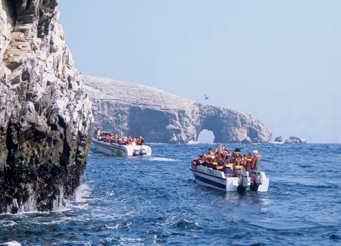 Tour To The Ballestas Islands, 