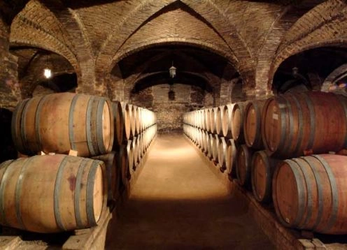 CONCHA Y TORO WINERY TOUR, 