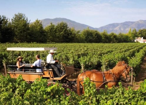 WINE TOUR - COLCHAGUA VALLEY, 