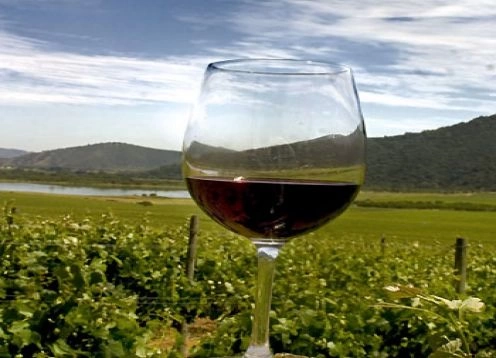 CASABLANCA VALLEY WINE TOUR, 