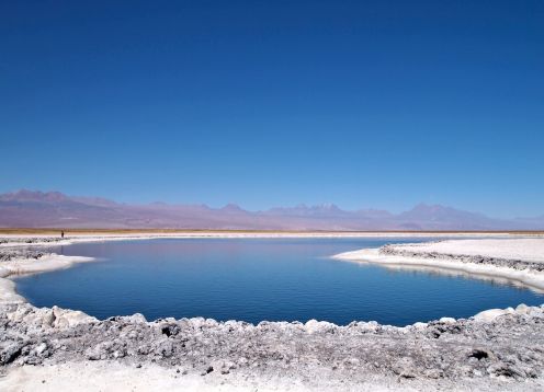 CEJAR LAGOON - SALAR EYES , TEBENQUICHE. San Pedro de Atacama, CHILE