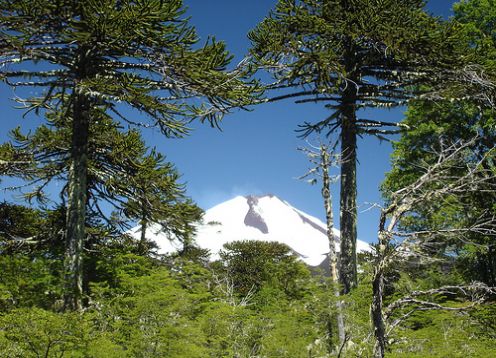 CONGUILLIO NATIONAL PARK TREKKING , 