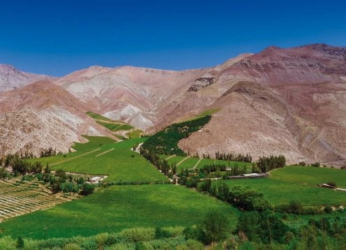 Elqui Valley tour. , CHILE