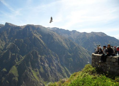 Full day tour to Colca Canyon. Arequipa, PERU