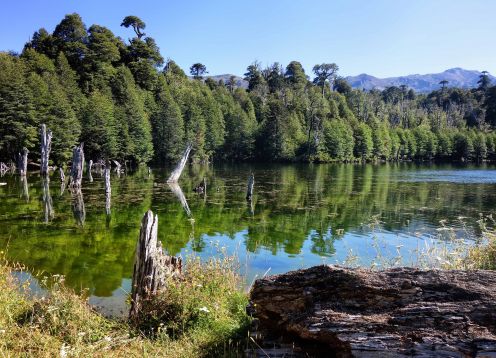 Trekking Conguillio National Park, Temuco