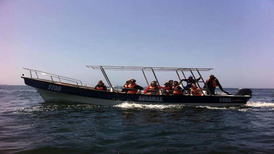 Chanaral  de Aceituno Tour  (Whale watching), La Serena, CHILE