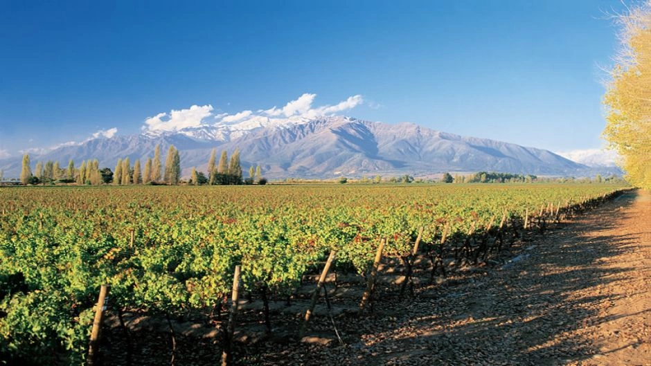 City Tour + Concha y Toro  Wine Tour, Santiago, CHILE