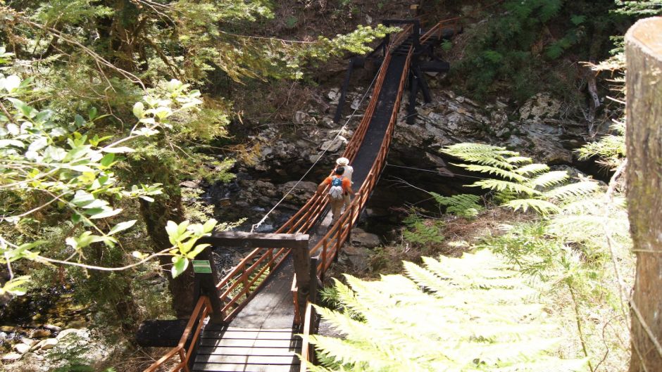 COASTAL RESERVE VALDIVIANA (COASTAL ALERCE), Valdivia, CHILE