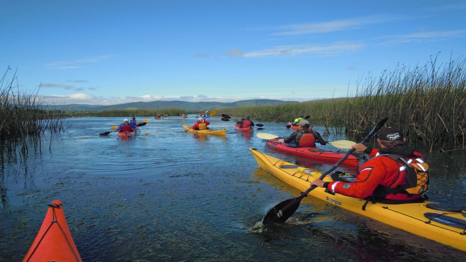 CITY TOUR EN KAYAK, Valdivia, CHILE