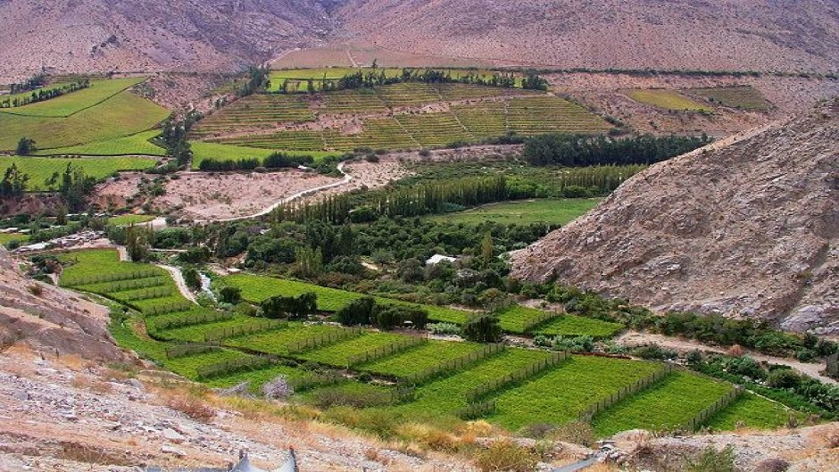  Pisco Route Tour, visiting the Nichos and Capel, La Serena, CHILE