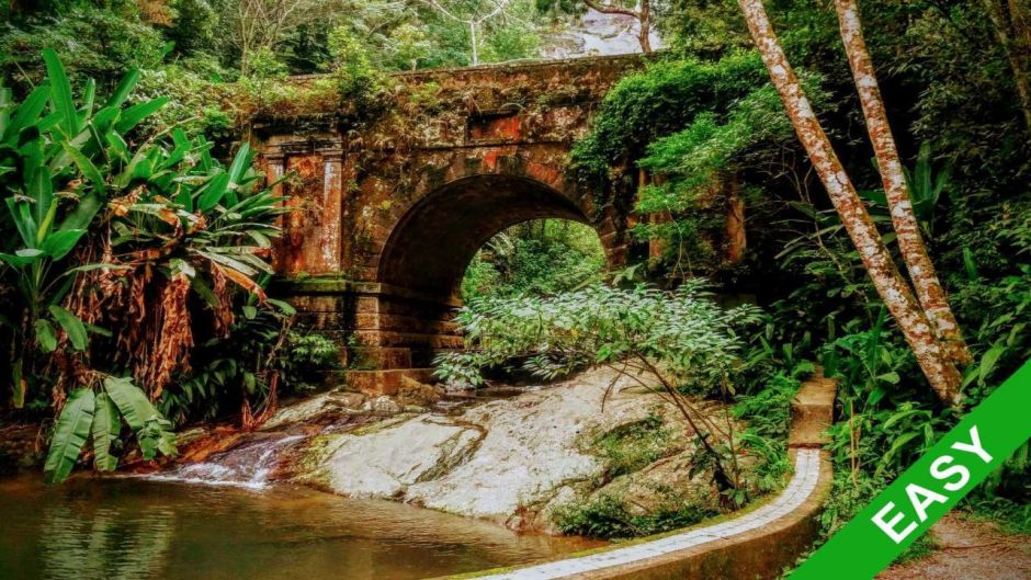 Tijuca National Park Hike, Rio de Janeiro, Rio de Janeiro, BRAZIL