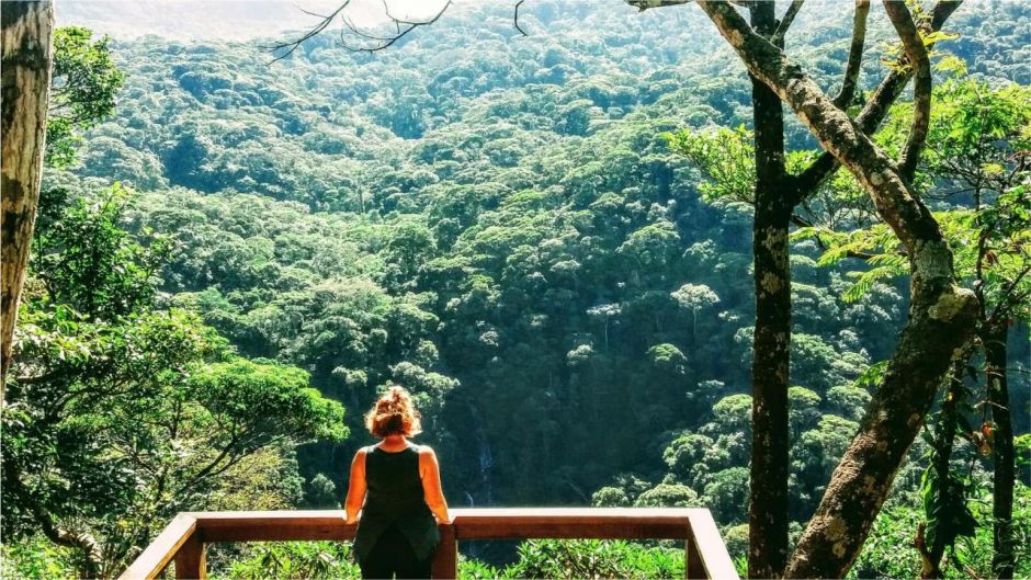 Tijuca National Park Hike, Rio de Janeiro, Rio de Janeiro, BRAZIL