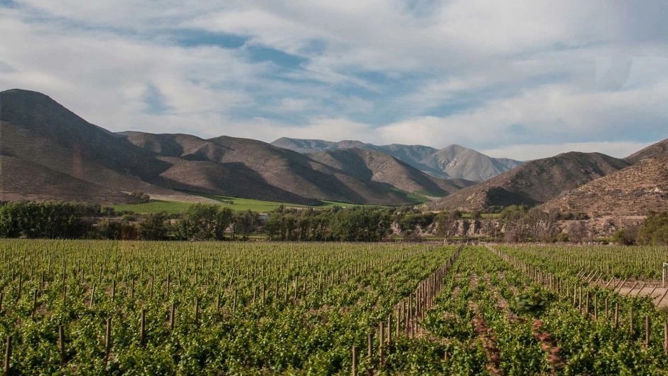 Elqui Valley tour, La Serena, CHILE