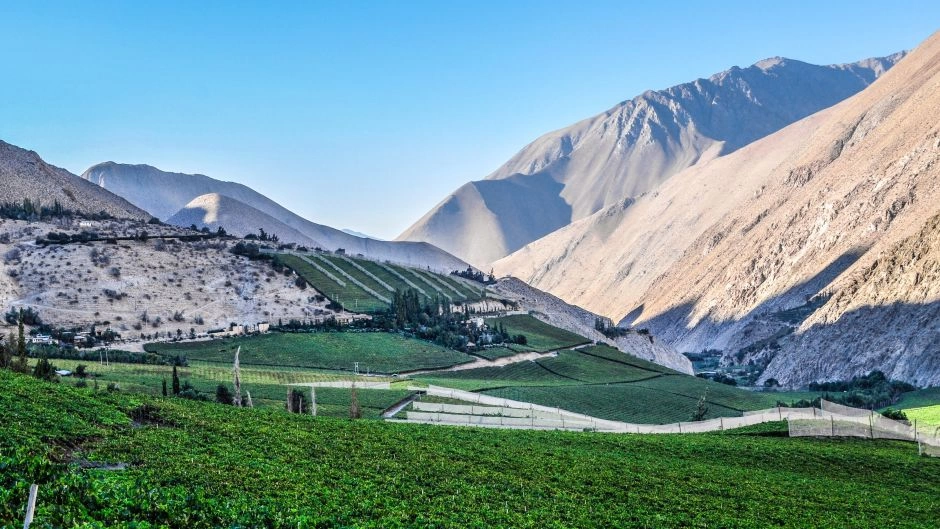 Elqui Valley tour, La Serena, CHILE