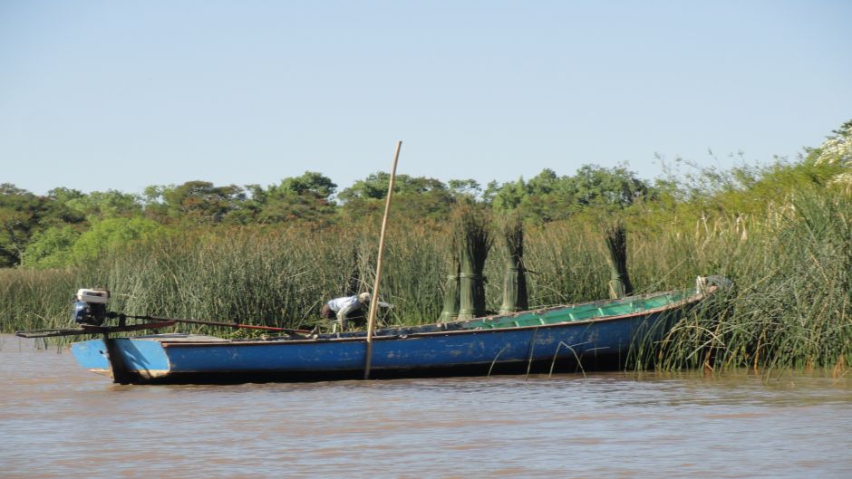 Navigating the Delta and north zone, Buenos Aires, ARGENTINA