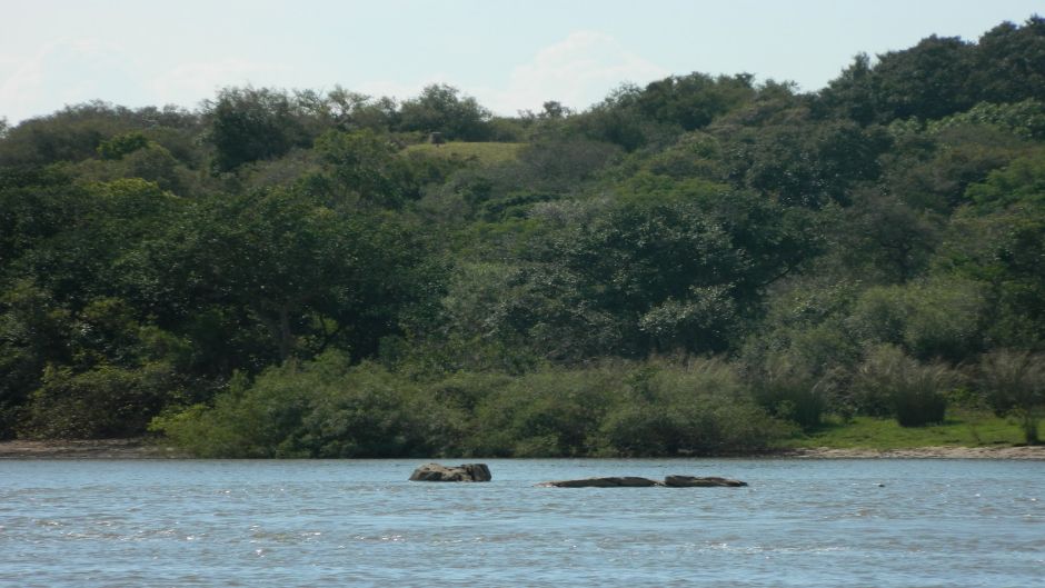 Navigating the Delta and north zone, Buenos Aires, ARGENTINA