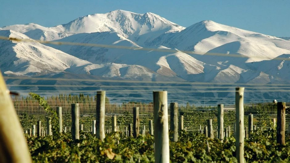 Wine Tour Uco Valley, Mendoza, Mendoza, ARGENTINA