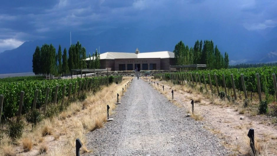 Wine Tour Uco Valley, Mendoza, Mendoza, ARGENTINA