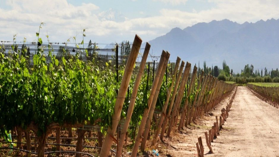 Wine Tour Uco Valley, Mendoza, Mendoza, ARGENTINA