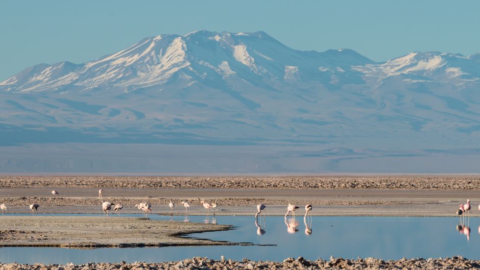 RED STONES, SALAR DE ATACAMA, ALTIPLANIC LAGUNAS, San Pedro de Atacama, CHILE