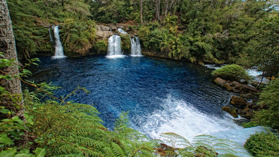 Snorkel in Licura river, Pucon, CHILE