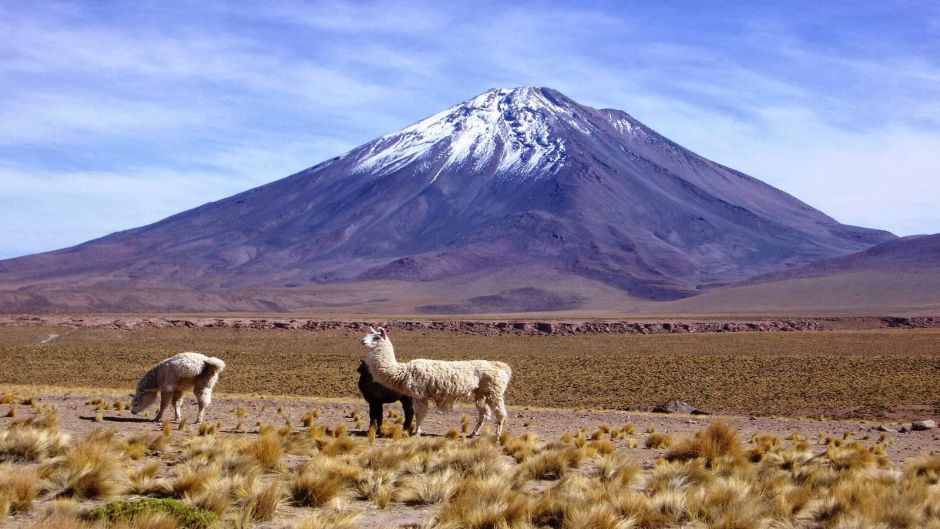 Ascent Licancabur Volcano , San Pedro de Atacama, CHILE