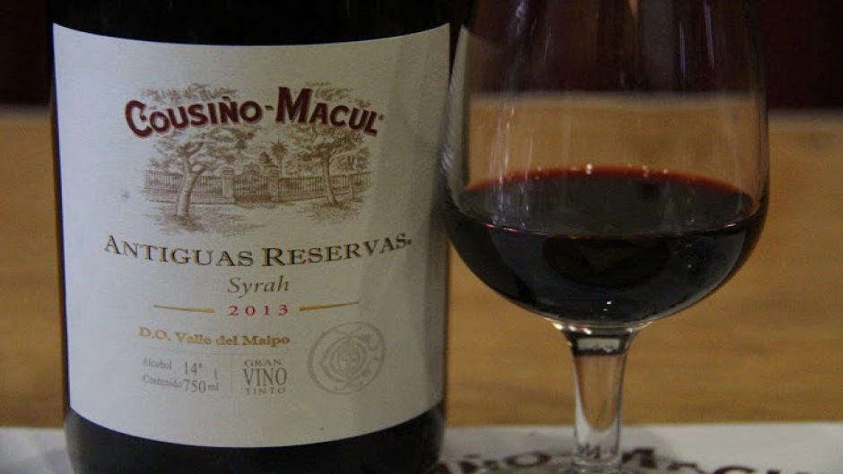 Wine Tour - Cousino Macul Vineyard, Santiago, CHILE