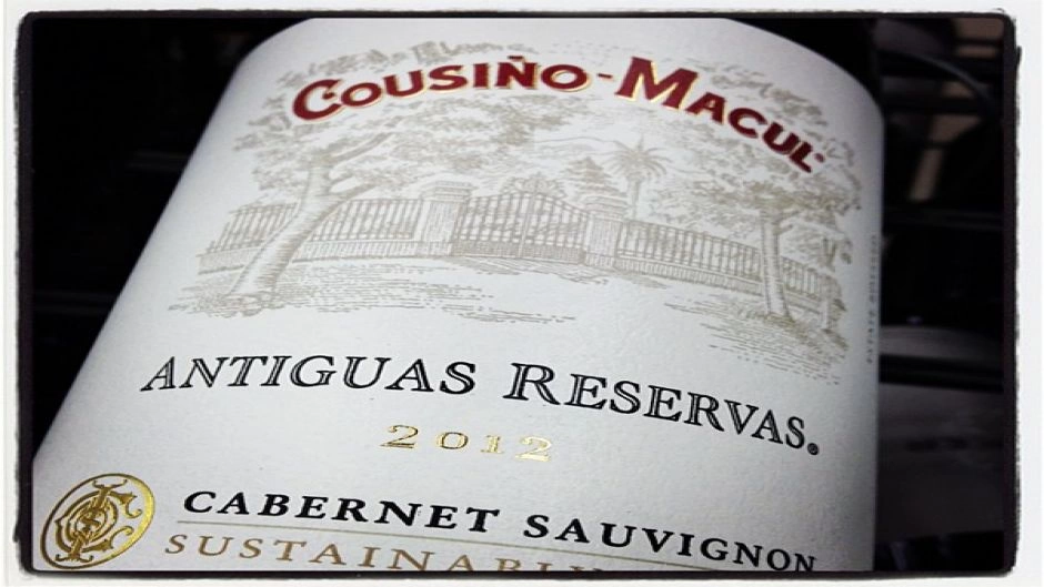 Wine Tour - Cousino Macul Vineyard, Santiago, CHILE