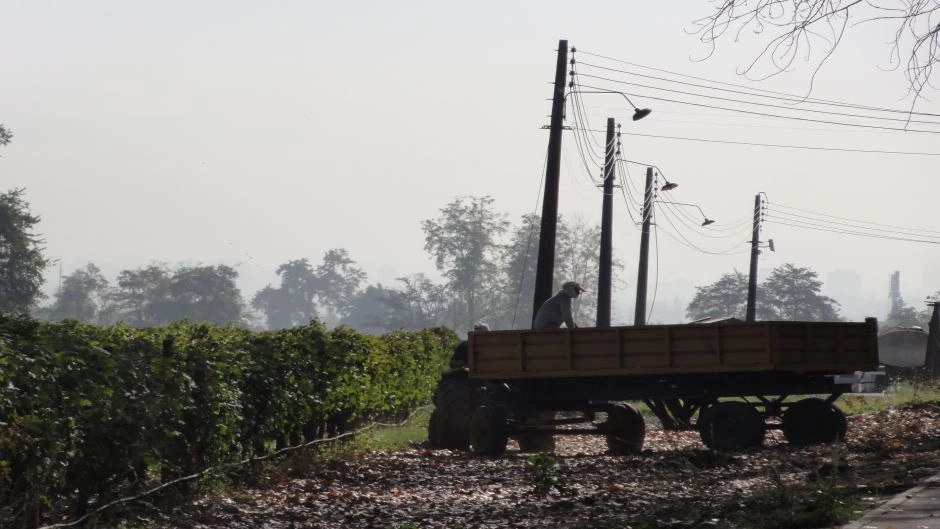 Wine Tour - Cousino Macul Vineyard, Santiago, CHILE