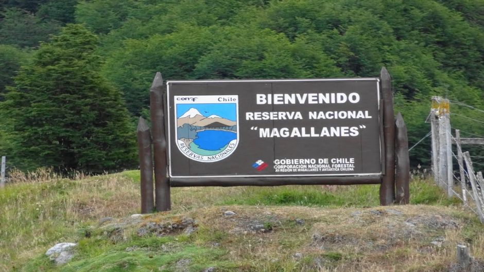 TREKKING IN MAGALLANES RESERVE, Punta Arenas, CHILE