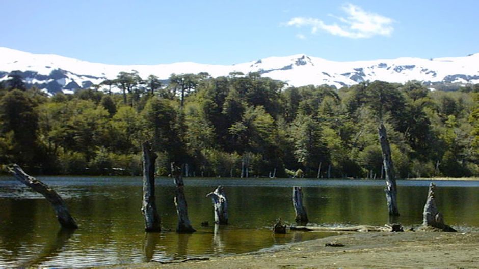 CONGUILLIO NATIONAL PARK TREKKING , Pucon, CHILE