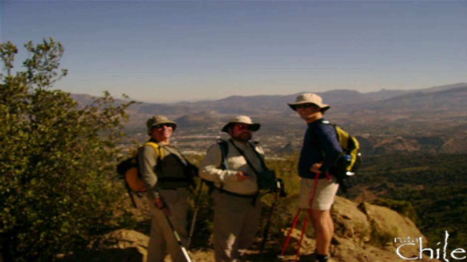 TREKKING ALTO DEL NARANJO / PROVINCIA HILL, Santiago, CHILE