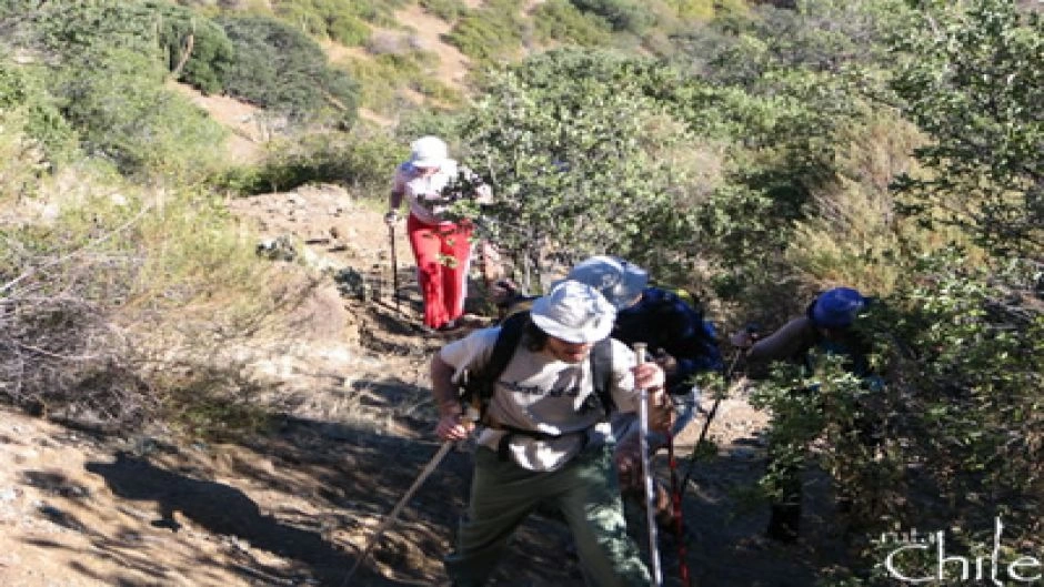 TREKKING ALTO DEL NARANJO / PROVINCIA HILL, Santiago, CHILE