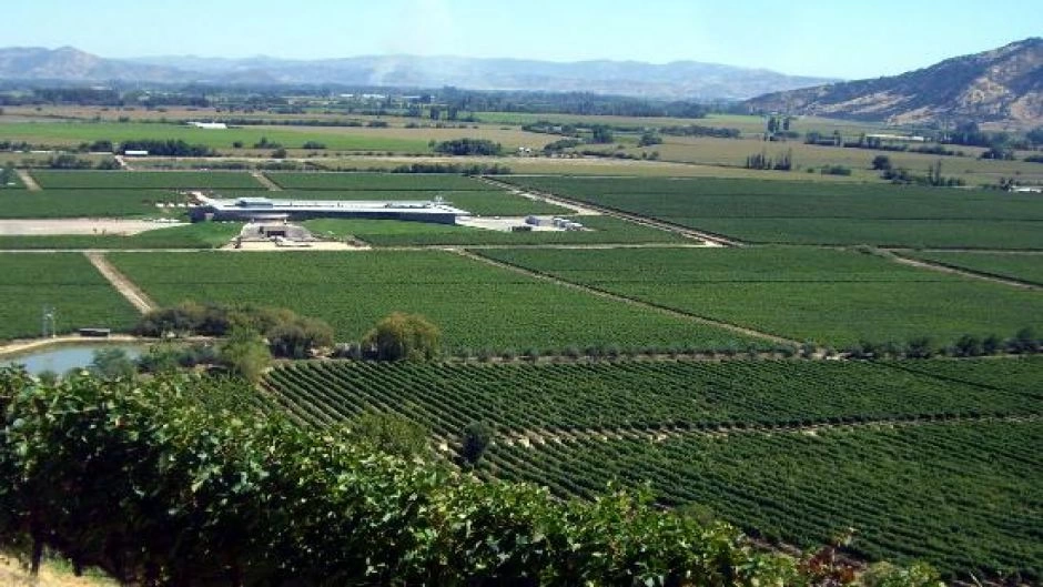 WINE TOUR - COLCHAGUA VALLEY, Santiago, CHILE