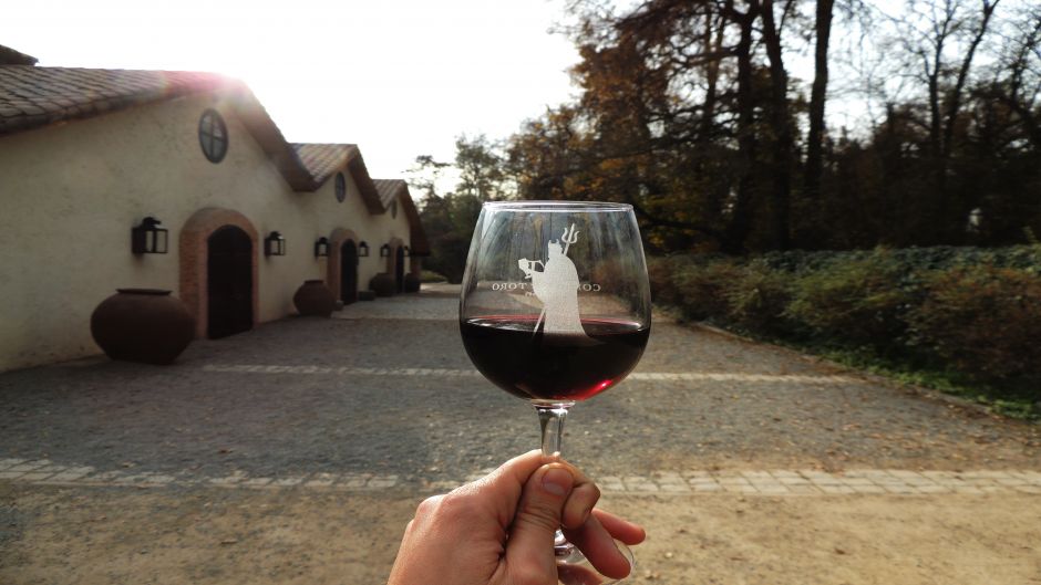 concha y tor wine tour concha y tor wine tour