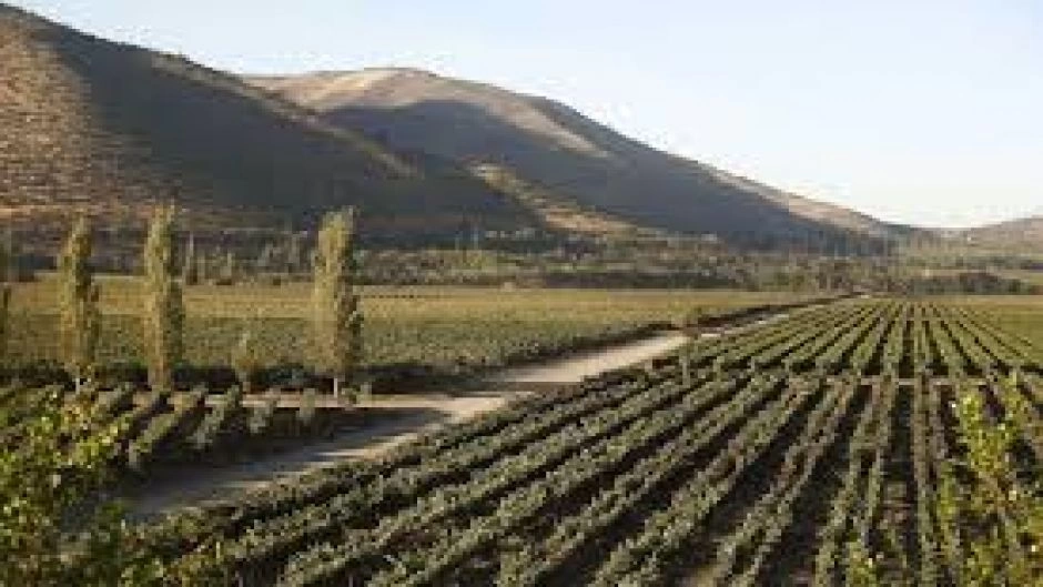 SANTA RITA WINE TOUR, Santiago, CHILE