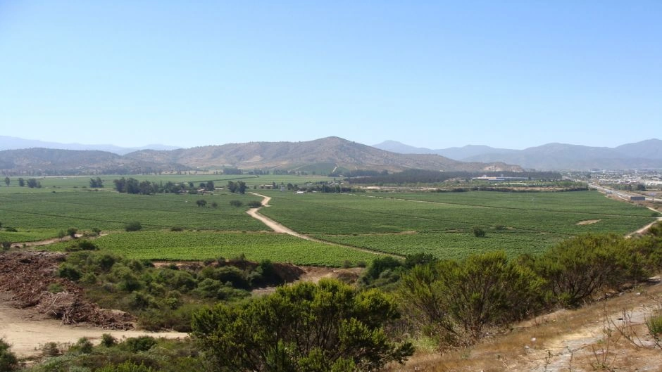 CASABLANCA VALLEY WINE TOUR, Santiago, CHILE