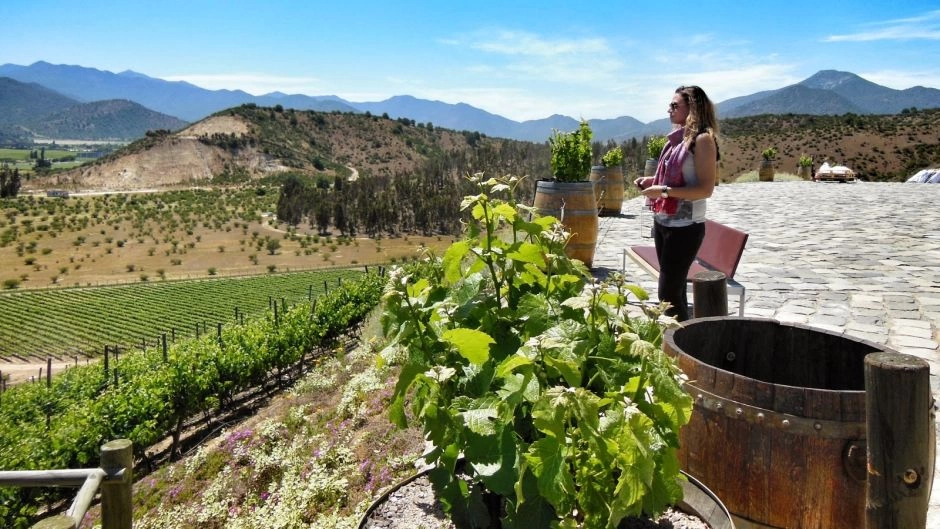 CASABLANCA VALLEY WINE TOUR, Santiago, CHILE