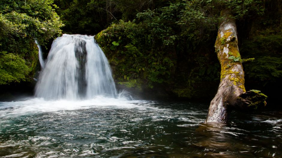 PUYEHUE PARK AND HOT SPRING TOUR, Puerto Montt, CHILE