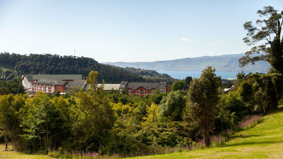 PUYEHUE PARK AND HOT SPRING TOUR, Puerto Montt, CHILE