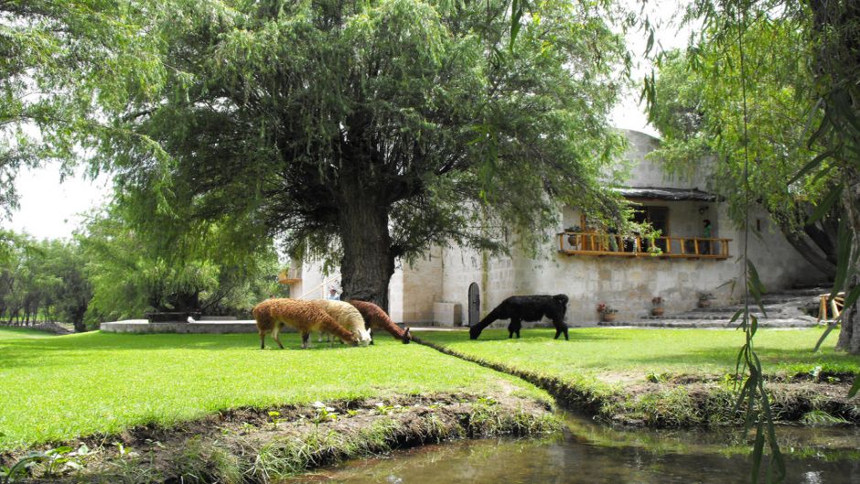 COUNTRYSIDE  + SABANDIA MILL, Arequipa, PERU