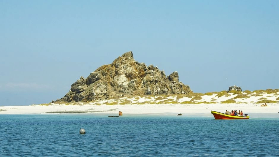  Full day visit Damas Island, Humbolt Penguin National Reserve, La Serena, CHILE