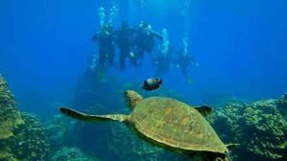 DIVING - INITIATIONBAPTISM ON EASTER ISLAND, Easter Island, CHILE